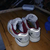 کتونی هپی|کیف، کفش، کمربند|نسیم‌شهر, |دیوار