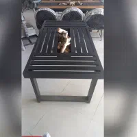 مبلمان باغی و میز آتشدان