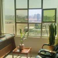 طراحی سایت / طراح پشتیبان و ادمین / سئو گوگل