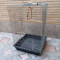 قفس پرنده