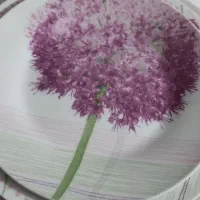 سرویس ۶نفره