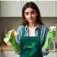 شرکت نظافتی با پنجاه درصدتخفیف اخرسال