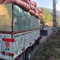 کاه گندم