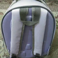 یک عدد باکس سگ