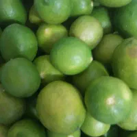 لیمو شیشه دزفول آبدار