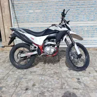 تریل برمودا