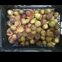 انجیر بچ کره وشیره انگور ،رب اناررب گوجه