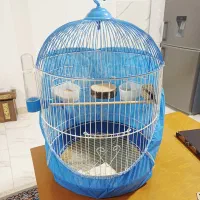 قفس طوطی عروس هلندی فنچ مرغ عشق مرغ مینا