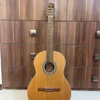 گیتار کلاسیک پارسی مدل M5