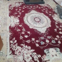 قالی ۱۲متری