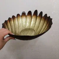 ظروف گود