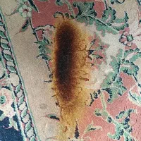رفوگری فرش درآبیک رفوفرش ماشینی ودستی ۳۰ سال تجربه