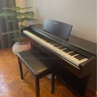 YDP145شرکتی