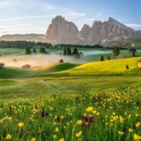آگهی استخدام باغبان