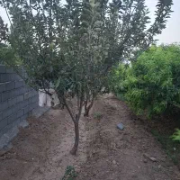 باغچه جنگلی ۵۸۰ متر