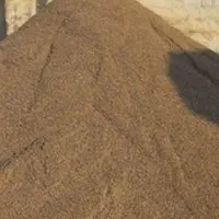 ماسه عبدالخان دوسرویس اماده تحویل رامشیر