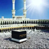 دو‌عدد‌فیش حج تمتع 86