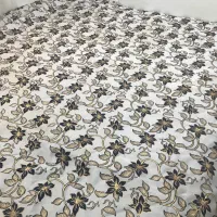 روتختی سانتی نو