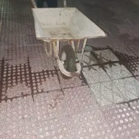 فرغون سالم