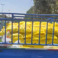 برنج چمپا شیراز