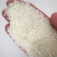 برنج هاشمی دره رود