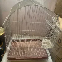 قفس پرنده طوطی وجاشمعی و شکلات خوری