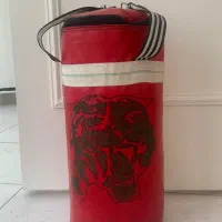 کسیه بوکس و‌ دمبل