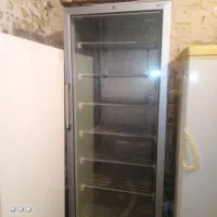 فریز ایستاده تک در
