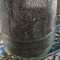 زیره کوهی دست چین