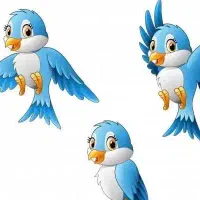 پرنده پیدا شده