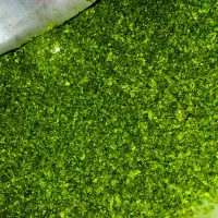 سبزی‌قرمه خورد شده