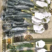 تسبیح