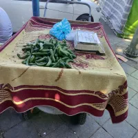 ارابه میوه فروشی