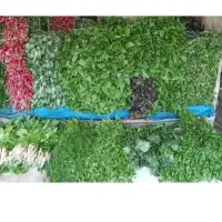 یه جایی می‌خوام براه سبزی فروشی