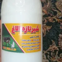 شیرالاغ تازه