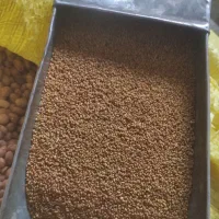 بذر یونجه صنوبری پایه بلند وشبدر