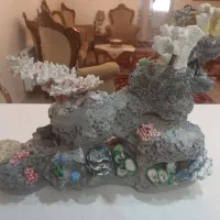مرجان آکواریوم