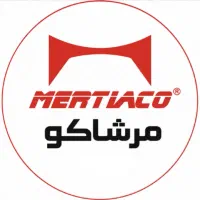 حسابدار با تجربه و با دقت