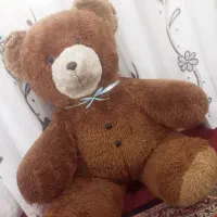 خرس بزرگ