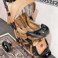 سرویس کالسکه و کریر دلیجان