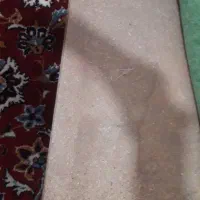 زیر تختی   سالم