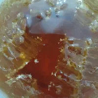 عسل کوردستان