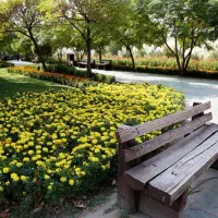 مجتمع قائم فاز ۱