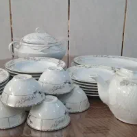 ظروف چینی