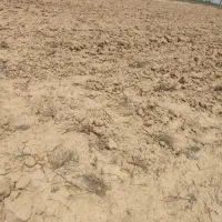 زمین اول آزاد مرزآباد برجاده آسفالته