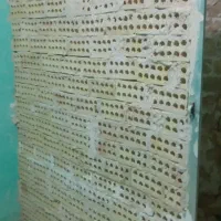 لکه گیری ایزوگام و گچکاری. نقاشی منطقه سیدی