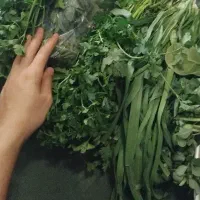 آقا هستم جویای کار