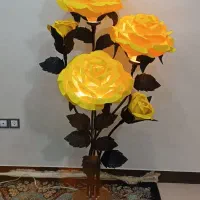 5شاخه
