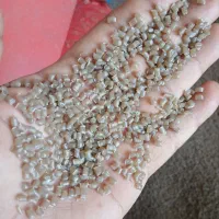 گرانول هاش