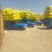 فروش کاه دیم گندم